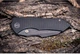 Нож складной Weknife High-Fin XL WE24010-1 - изображение 19