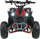 Квадроцикл Quad Ramiz бензиновий Renegade Hiperfect110CC Червоний (5903864941593) - зображення 2