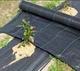 Геотекстиль для мульчирования черный Shadow 150 г/м2, 1,2 х 50 м (Niz16428) - изображение 2