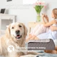 Покрывало Sei Design Warmis Серо-Бежевое Евро 220х240 см Двустороннее Микрофибра (4820227288601) - изображение 7