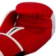 Перчатки боксерские PVC на липучке TWN SPIRIT BO-9476 (р-р 14oz, Красный) (BO-9476_Красный_14_унции) - изображение 5