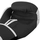 Перчатки боксерские PVC на липучке TWN SPIRIT BO-9476 (р-р 12oz, Черный) (BO-9476_Черный_12_унции) - изображение 4