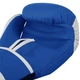 Перчатки боксерские PVC на липучке TWN SPIRIT BO-9476 (р-р 14oz, Синий) (BO-9476_Синий_14_унции) - изображение 4