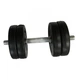 Гантель композитная Newt NE-PL-R-011 D, Rock Pro-R, 11 кг (NE-PL-R-011-RT) - изображение 1