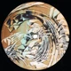 LP2 Zaz: Isa - изображение 5