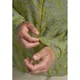 Вітровка PRELIGHT WIND JKT M Jack Wolfskin A63777_T0170 44 Зелений (4064886445948) - зображення 6