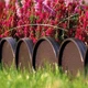Бордюр садовый Garden Line терракотовый 10м. - изображение 4