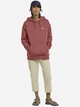 Худи оверсайз женское Jack Wolfskin Essential Hoodie W A63848-J0127 XS Розовое (4064886455091) - изображение 3