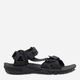 Мужские сандалии Jack Wolfskin Lakewood Ride Sandal M 4019021-6350 42 (8UK) 25.9 см Темно-серые (4064886444729) - изображение 1