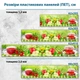 Фото панель универсальная ПЭТ, Самофиксирующаяся, 62 х 205 см (толщина 1.2 мм), яблоке на столе с чаем(ПЭТ1-s_ed617) - изображение 2