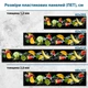 Фото панель универсальная ПЭТ, Самофиксирующаяся, 62 х 410 см (толщина 1.2 мм), цитрусовые в волне(ПЭТ4-s_ed607) - изображение 2