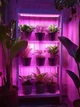 Светодиодная фитолента для комнатных растений от USB Полный спектр от GrowLight 2 метра - изображение 4