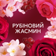 Кондиціонер для білизни Lenor Рубіновий жасмин 59 циклів прання 1.239 л (8700216724616) - зображення 6