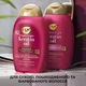 Шампунь OGX Keratin Oil против ломкости с кератиновым маслом 385 мл (0022796977519) - изображение 3