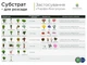 Субстрат для розсади WormiFarm 1000л - зображення 4