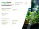 Стимулятор росту для вегетації WormiFarm VegaStim 100мл - зображення 3