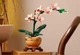 Конструктор LEGO Botanicals Міні орхідея 274 деталей (10343) - зображення 4