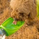 Поїлка для собак зелена - зображення 1