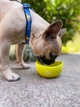 Миска WAUDOG Silicone, 250 мл, для котов и мелких пород собак, желтая (50818) - изображение 6