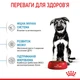 Корм для цуценят великих порід собак ROYAL CANIN MAXI PUPPY 4,0 кг (30060400) - изображение 5