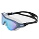 Очки для плавания Arena The One Mask Blue/Grey (1097-004308-103 UNI) - изображение 1