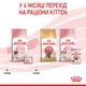 Вологий корм (мус) для кошенят віком від 1 до 4 місяців ROYAL CANIN MOTHER & BABYCAT Cans 195 г (4098002) - изображение 4