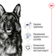 Корм для дорослих собак великих порід ROYAL CANIN MAXI ADULT 15,0 кг (30071500) - изображение 2