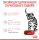 Вологий корм для стерилізованих кошенят ROYAL CANIN KITTEN STERILISED IN GRAVY 85 г (1071001) - изображение 4