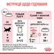 Вологий корм для стерилізованих кошенят ROYAL CANIN KITTEN STERILISED IN GRAVY 85 г (1071001) - изображение 6