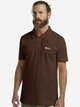 Поло длинное мужское Jack Wolfskin Essential Polo M 1809301-2745 M Коричневое (4064886434997) - изображение 1