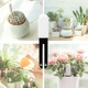 Смарт-датчик для рослин BauTech Smart Flower and Plant Monitor Білий (1015-263-00) - зображення 2