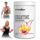 Креатин моногидрат Iron Flex Creatine Monohydrate 500 g (Strawberry pineapple) - изображение 2