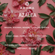 Віддушка AZALEA 10гр - для свічок, аромадифузорів, рум-спреїв - изображение 2