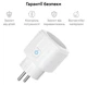 Розумна розетка Zigbee Tuya / Smart Life 16А - зображення 9