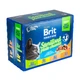 Влажный корм Brit Premium Cat Набор паучей семейная тарелка для стерилизованных кошек, ассорти 4 вкуса, 100 г х 12 шт - изображение 4