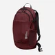 Рюкзак спортивный тканевый 20 л вмещает формат А4 Jack Wolfskin Velocity 20 A64003-2511 Бордовый (4064886443999) - изображение 1