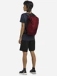Рюкзак спортивный тканевый 20 л вмещает формат А4 Jack Wolfskin Velocity 20 A64003-2511 Бордовый (4064886443999) - изображение 4