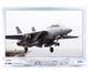 Постер CP F-14A Tomcat, Авіація 84х60 см (381) - изображение 1