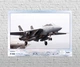 Постер CP F-14A Tomcat, Авіація 84х60 см (381) - изображение 4