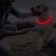 Акумуляторний LED нашийник, що світиться для собак Petguider з регульованим розміром і зарядкою USB, 70 см, червоний (92546575) - зображення 2