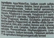 Гель для душа и ванны "Дикая мята", тонизирующий - L'Amande Wild Mint Body Wash 470ml (1406862-31158832) - изображение 2