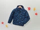 Куртка демісезонна з капюшоном для хлопчика Pepperts BIONIC-FINISH® ECO 418844 146 см (10-11 years) темно-синій - зображення 2
