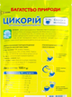 Цикорий растворимый классический Elite Health Line вкусный и полезный 100 г - изображение 3