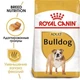 Сухой корм для собак Royal Canin Bulldog Adult для породы Английский бульдог от 12 месяцев 12 кг - изображение 2