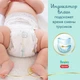 Підгузки трусики Pampers Premium Care Pants Junior 5 (12-17 кг), 34 шт - зображення 5