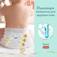 Підгузки трусики Pampers Premium Care Pants Junior 5 (12-17 кг), 34 шт - зображення 3