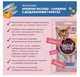 Рідкі ласощі для котів Delickcious з сардиною та гарбузом 60 г D6251103 - зображення 2
