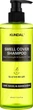 Шампунь для підлітків "Lime Basil & Mandarin" - Kundal All Day Smell Cover Teens Shampoo 400ml (1407842-31158354) - изображение 3
