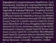 Сироватка для волосся - Kundal Macadamia Ultra Serum Blackberry Bay 100ml (1326199-31101487) - зображення 3
