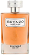 Парфумована вода для чоловіків Paris Corner Pendora Scents Bronzo Intense 100 мл (6423080719091) - зображення 1